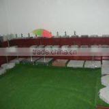 Xiamen Haisongfu Imp & Exp Co., Ltd. company overview - view 3 thumbnail