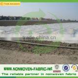 Agriculture Nonwoven Fabric Wholesale/UV Resistant PP Nonwoven