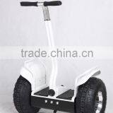 100kg to 200kg Load Two Wheel Smart Balance Wheel,700w Power,cross Counry Vehicle
