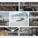 Poplar Birch Wooden Bed Slats E0 E1Grade Wooden Bed Slats FSC CARB Certification thumbnail-5