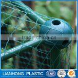 Bird Net Manufacturers, Bird Protection Nets From Factory, Orchard and Agriculture Use Anti Bir Nets thumbnail-6