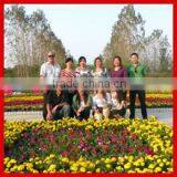 Zhengzhou Solon Import & Export Trading Co., Ltd. company overview - view 2 thumbnail