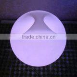 LED Portable Lamp NJ1698