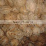 Organic Coconuts Exporter thumbnail-2