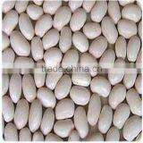 White Kidney Bean thumbnail-2