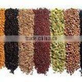 Curry Powder Indian thumbnail-1