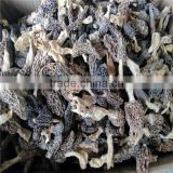 chinese black morel mushroom black fungus mushroom Morchella esculenta dried price