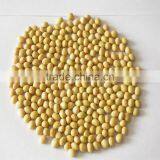 JSX Hand Picked soybeans for cooking cheap price for bulk beans for sale