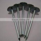 Galvanized Roofing Nails thumbnail-6