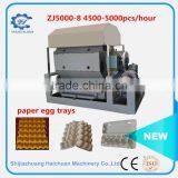5000 Egg Tray Making Machine Production Line thumbnail-4