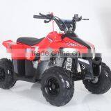 Chinese Cheap KIds ATV for Sale ATA110-J thumbnail-5