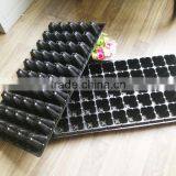 Grow Bedding Plants, Seedlings or Cuttings Trays thumbnail-4