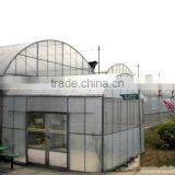 Hot-Dip Galvanized Steel Pipe Frame And 150mm PE Film Covered Multi-Span Greenhouse For Vegetables thumbnail-2