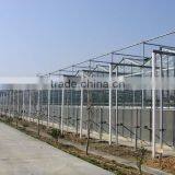 Economic Used in Greenhouse Venlo thumbnail-5