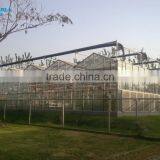 Factory Glass Greenhouse Farming Equipment thumbnail-4