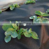 Spunbond Nonwoven Fabric thumbnail-4