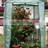 PE Cover Walk In Green House thumbnail-1