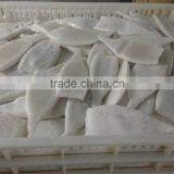 EU Stand Squid Tube Frozen thumbnail-2