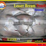 W/R FROZEN LESSER BREAM POMFRET thumbnail-1