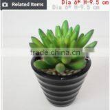 Tropical Mini Succulent Plants Bonsai for Sale Artificial Succulents thumbnail-3