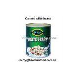 Canned White Beans in Brine Salty w/ Competitive Price thumbnail-1