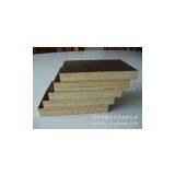 Film Faced Plywood Board Manufacturer thumbnail-1