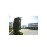  company overview - view 1 thumbnail