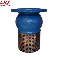 JIS/ANSI/DIN Foot Valve Cast Iron GGG50 Ductile Iron Flange Stainless Steel Filter Strainer Water Pump thumbnail-3