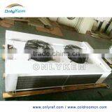 Double Discharge Air Cooler for Food Process Workshop thumbnail-1
