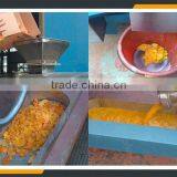 Leader High Quality Fruit Destoning and Pulping Machine Offering Its Services to Overseas thumbnail-5