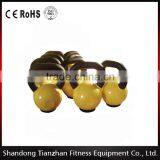 TZ-8024 Colored Vinyl Dipped Kettlebell for Fitness Training