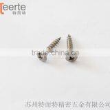 China Cheap Pan Head Phillips Self Tapping Stainless Steel Screw thumbnail-2