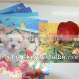3D Table Mat With Lenticular Effect