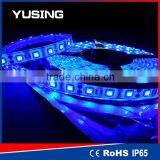 CE TUV 2 Years Warranty 60LEDs/Meter 5050 SMD IP68 LED Strip Light 12V