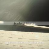 black film,18mmX1220X2440, Melamine glue, two times hot press film faced plywood from factory directly