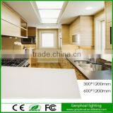 High Quality LED Slim 60x60 cm Led Panel Lighting thumbnail-2