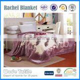 2016 China Supplier 100 Polyester Mink Blanket