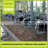 Hot Sale Wholesale Single Type Free Stall Cow thumbnail-1