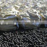 high hardness and unbreakable forged grinding steel ball for mines CIL Plant