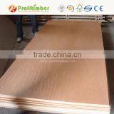 Fire Rated Plywood / Fire Retardant Plywood Prices