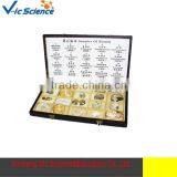 Fossils Specimenn for Research thumbnail-1