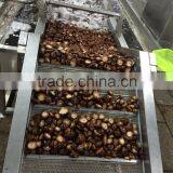 Price for Frozen Shiitake Mushroom Whole thumbnail-4