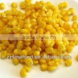 Canned Sweet Corn in Can A10 2840g - Whole Kernel