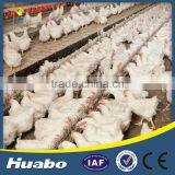 China Manufacturer Agriculture Project Female Breeder Chain Feeding System