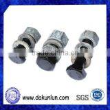 Customized Black Screw With Nut In China thumbnail-3