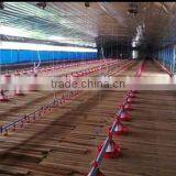 Commercial Automatic Feeder And Drinker For Poultry Chicken thumbnail-5