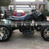 250cc Chain Drive Transmission ATV Racing ATV With EEC thumbnail-4