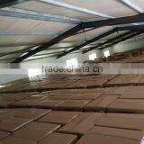 Sun Dried Daphnia thumbnail-6