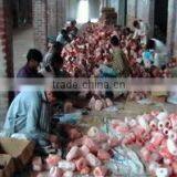 Safa Traders company overview - view 3 thumbnail