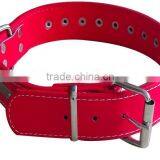 CY114 Wholesale PU Lady Dog Collar Comfort Leather Single Row Rivets Collar Alloy Spikes Gentle Rivet Dog Collar thumbnail-5